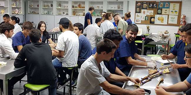 13. April: Tag der Kinesiologie in Argentinien