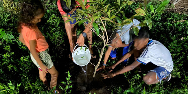 29. April - Tag der Baumpflanzung in Kolumbien