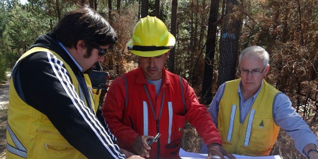3. Mai - Nationaler Tag der Forstingenieure in Chile