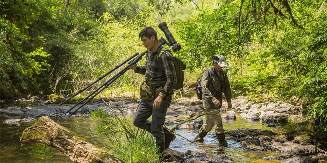 16. August: Tag der Forstingenieure in Argentinien