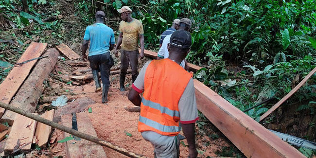 4. Oktober: Tag des Forstingenieurs in Kolumbien