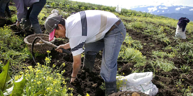 15. Mai - Tag der Landwirte in Costa Rica