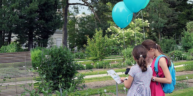 18. Mai: Internationaler Tag der Faszination der Pflanzen