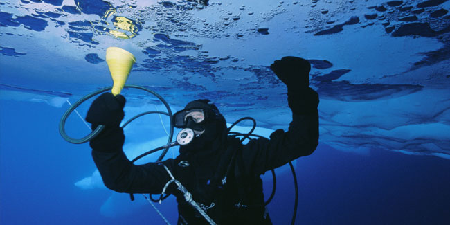 18. Mai: Tag des Ozeanologen in Mexiko