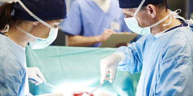 6. Juni: Welttransplantationstag