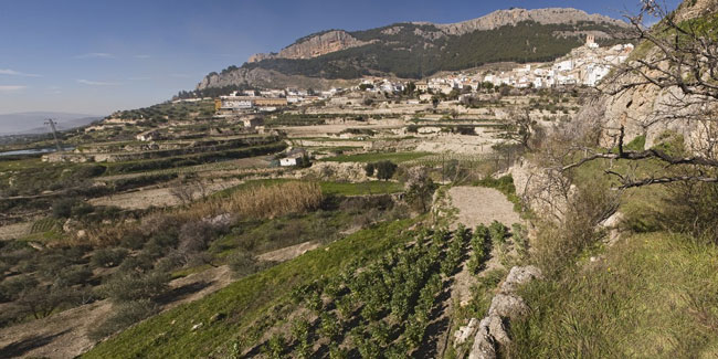 13. Juni: Patronatsfeste in Vadillo de la Guareña, Caniles, Robledo de Chavela und Navas de San Antonio