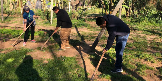 19. Juni: Tag des Baumes in Paraguay