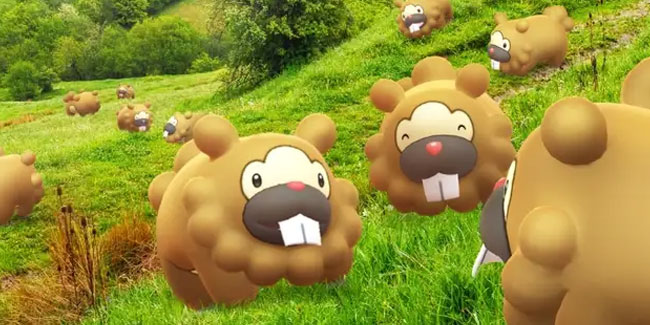 1. Juli: Internationaler Bidoof-Tag