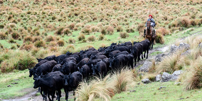 2. Juli - Nationaler Landwirtschaftstag in Argentinien