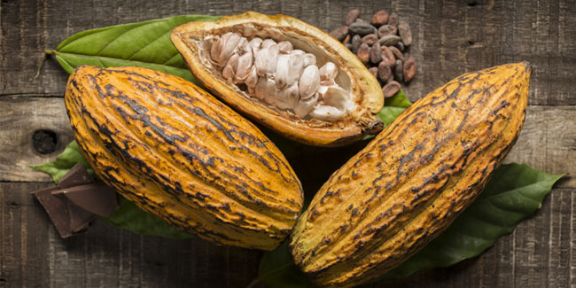 7. Juli - Internationaler Kakaotag