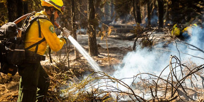 11. Juli - Nationaler Tag der Waldbrandbekämpfung in Mexiko