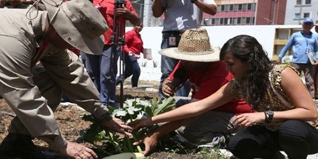 31. Mai: Venezuela: Tag der Bäume