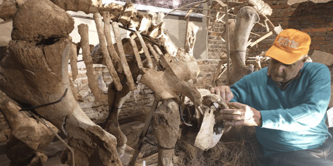 27. Juli: Anthropologentag in Argentinien