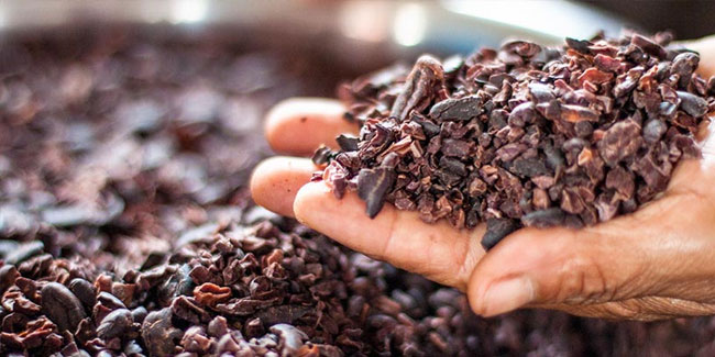 6. August: Tag des peruanischen Ernährungsberaters