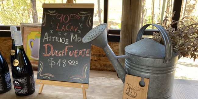 10. August: Winzertag in Chile