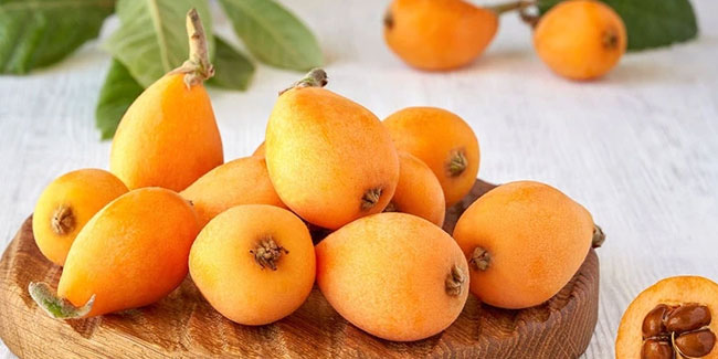 23. August - Loquat-Tag in Chile
