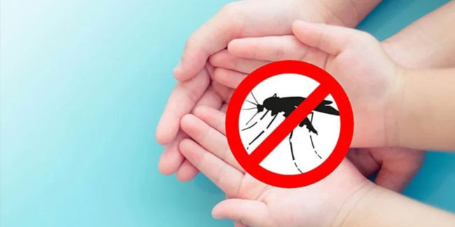 26. August - Internationaler Tag gegen Denguefieber