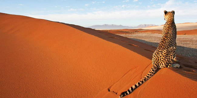 26. August: Namibia-Tag