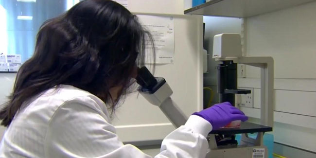 Internationaler Myelom-Aktionstag