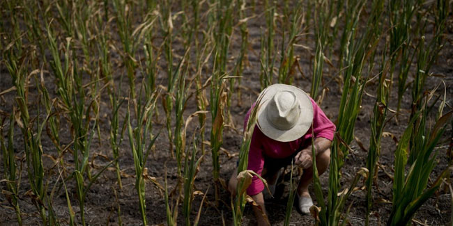 8. September - Tag der Landwirte und landwirtschaftlichen Erzeuger in Argentinien