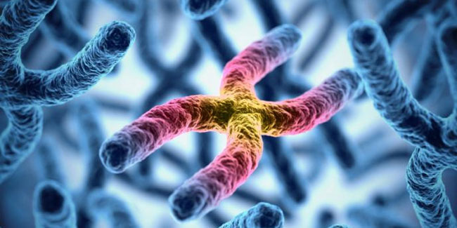 26. Juli: Welttag der Gaucher-Krankheit