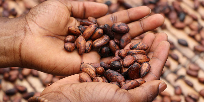 1. Oktober - Der peruanische Tag des Kakaos und der Schokolade