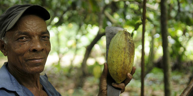 4. Oktober - Nationaler Tag der Agronomen in der Dominikanischen Republik