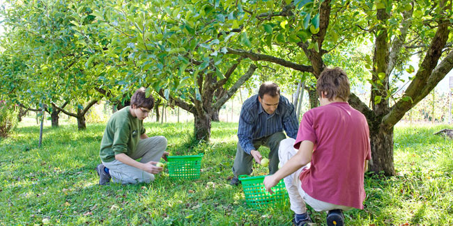 18. Oktober: Internationaler Tag für die Erhaltung der Natur