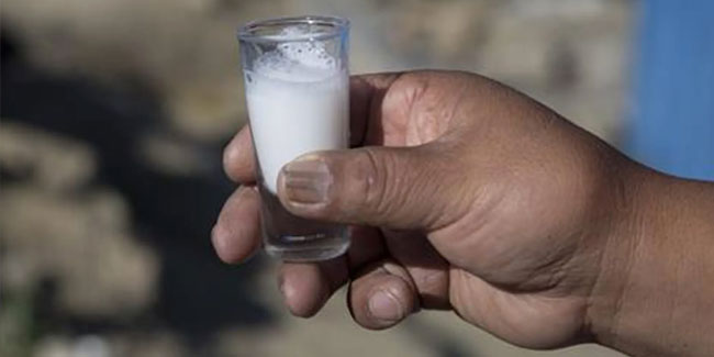 26. Oktober - Nationaler Milchtag in Bolivien