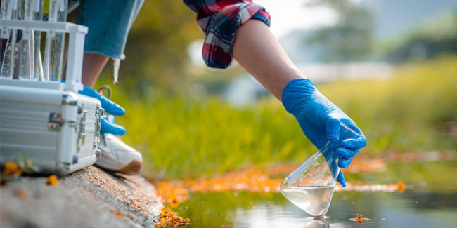 1. November: Welttag der Ökologie und der Ökologen