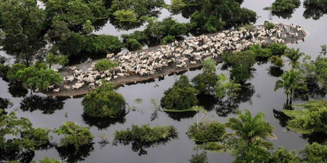 18. November: Tag des Departements Beni in Bolivien