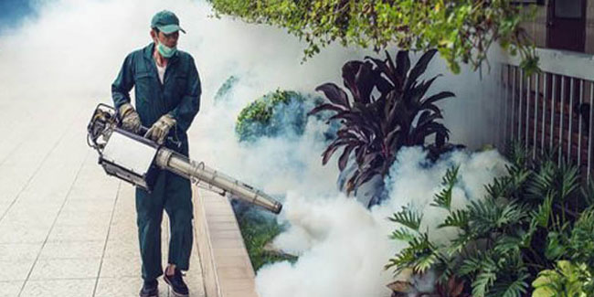 29. November: Tag des Ausräucherers in der Dominikanischen Republik