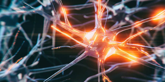 18. Dezember - Nationaler Tag der Multiplen Sklerose in Spanien