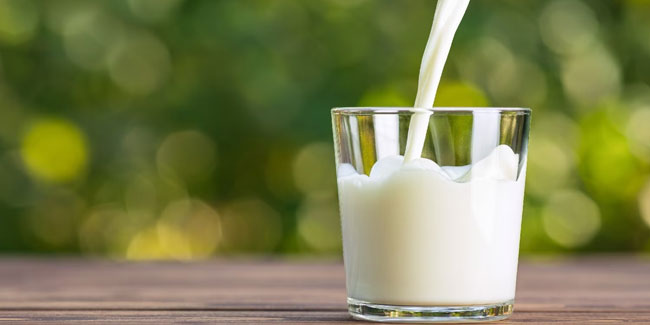 1. Juni: Weltmilchtag: Ein Fest der Milch