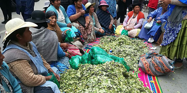 11. Januar - Nationaler Acullico-Tag in Bolivien