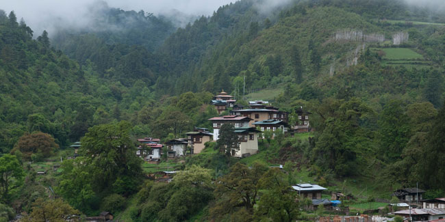 Todestag von Zhabdrung - Tag der sozialen Forstwirtschaft in Bhutan