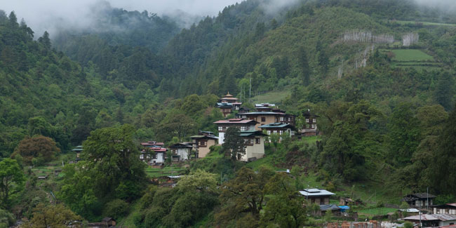 2. Juni: Tag der sozialen Forstwirtschaft in Bhutan