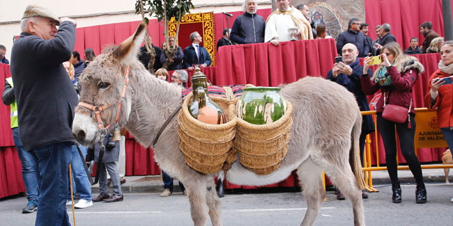 17. Januar: Die „Flammen von San Antón“ in Jaén