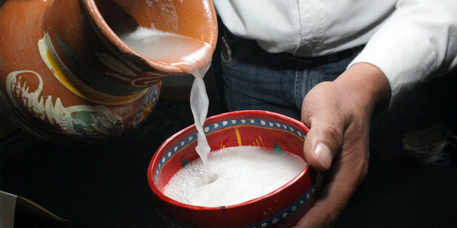 11. Februar - Nationaler Pulque-Tag in Mexiko
