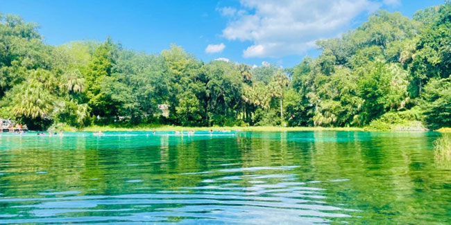 5. Juni: Weltumwelttag