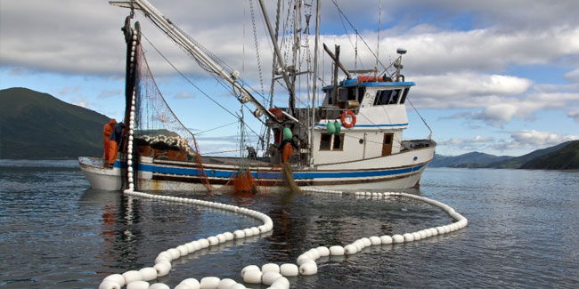 27. Juni - Internationaler Tag des Fischfangs