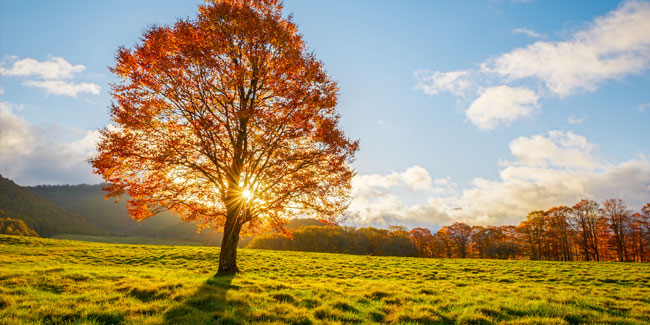 22. September: Herbst-Tagundnachtgleiche