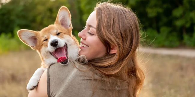 30. November: Tag des Haustiers