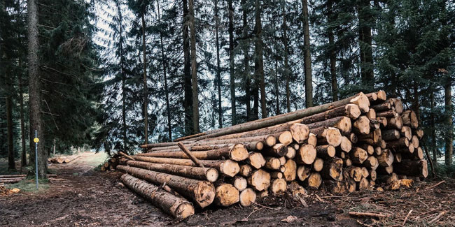 11. Januar: Tag der Reservate und Nationalparks