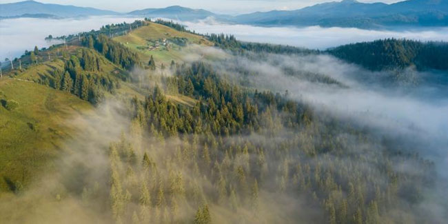 Ukrainischer Umwelttag