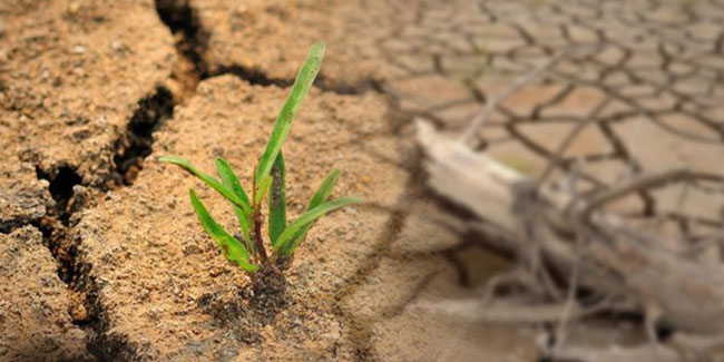 17. Juni - Welttag zur Bekämpfung von Wüstenbildung und Dürre