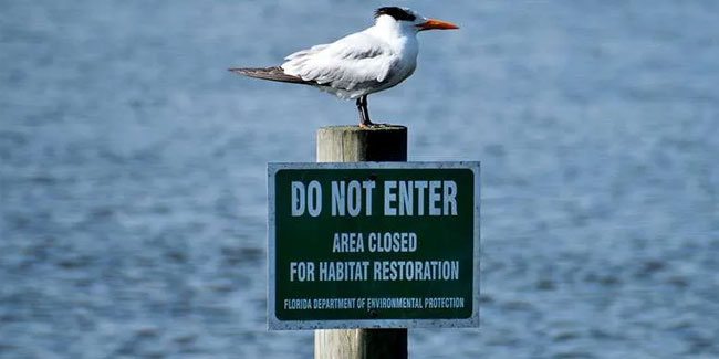 6. Oktober: Welttag zur Erhaltung der Lebensräume