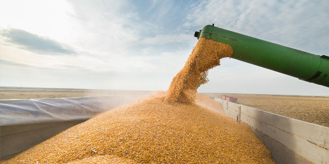 15. November: Tag der Landarbeiter der Ukraine