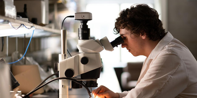 10. November: Welttag der Wissenschaft für Frieden und Entwicklung