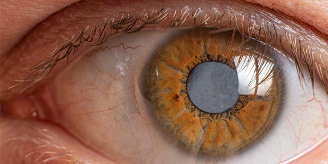 6. März - Welt-Glaukom-Tag